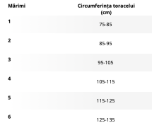 Orteza toracica elastica, 114 - imagine 2